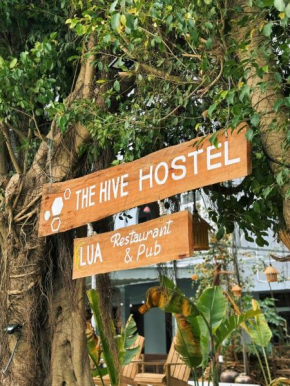 The Hive Hostel - Tam Coc